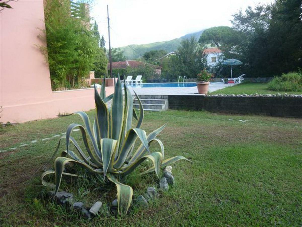 Stathis Apartments Dassia (Corfu) Exterior foto